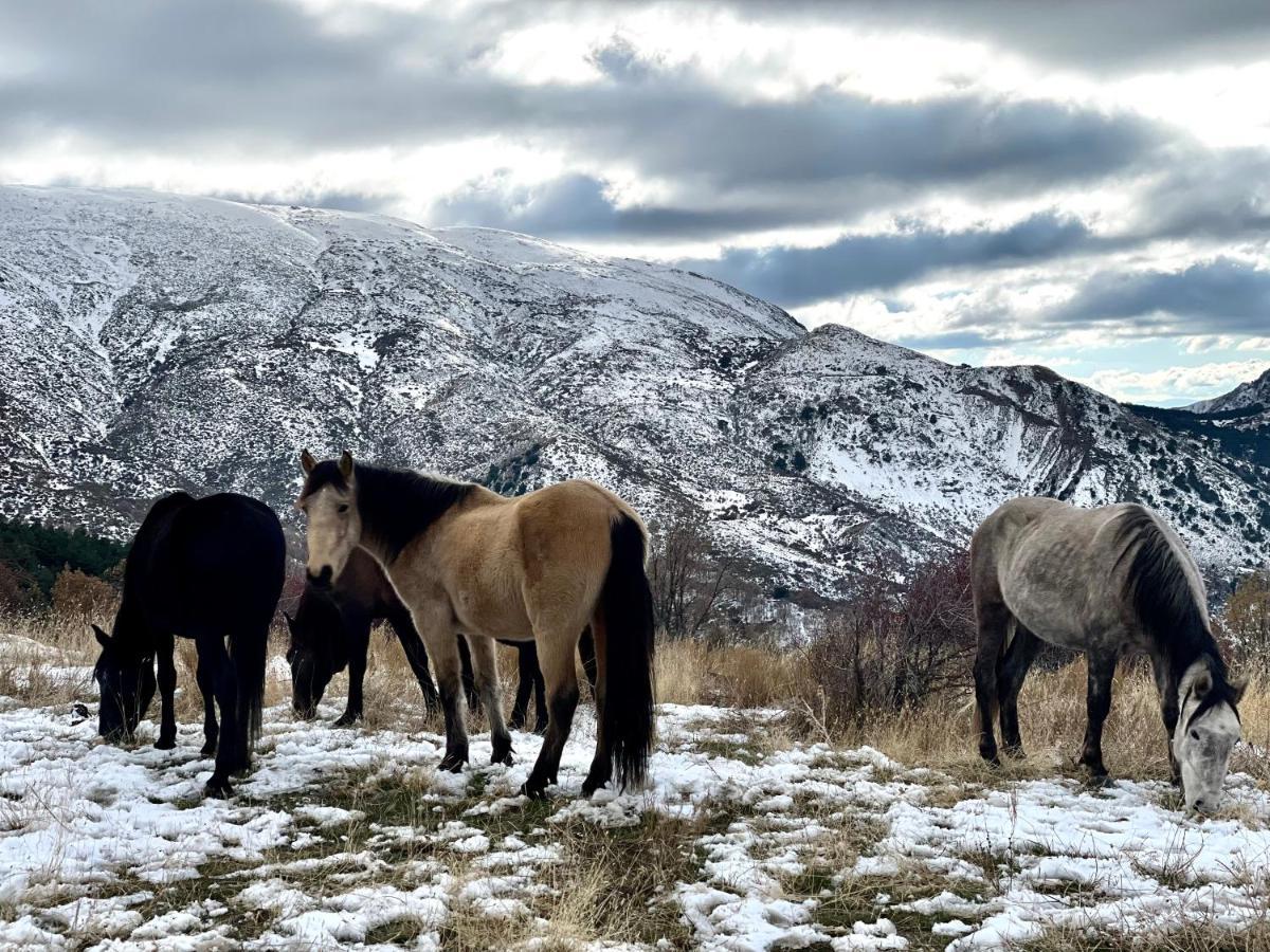 Apartmán Monte Oiz Con Wifi Y Parking Gratis Sierra Nevada Exteriér fotografie